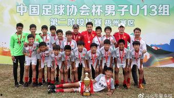 今日韩国足协新消息视频,视频揭示重大变革与未来规划